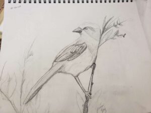 “Bird Drawing”./ Courtesy • Jasmin Ruiz