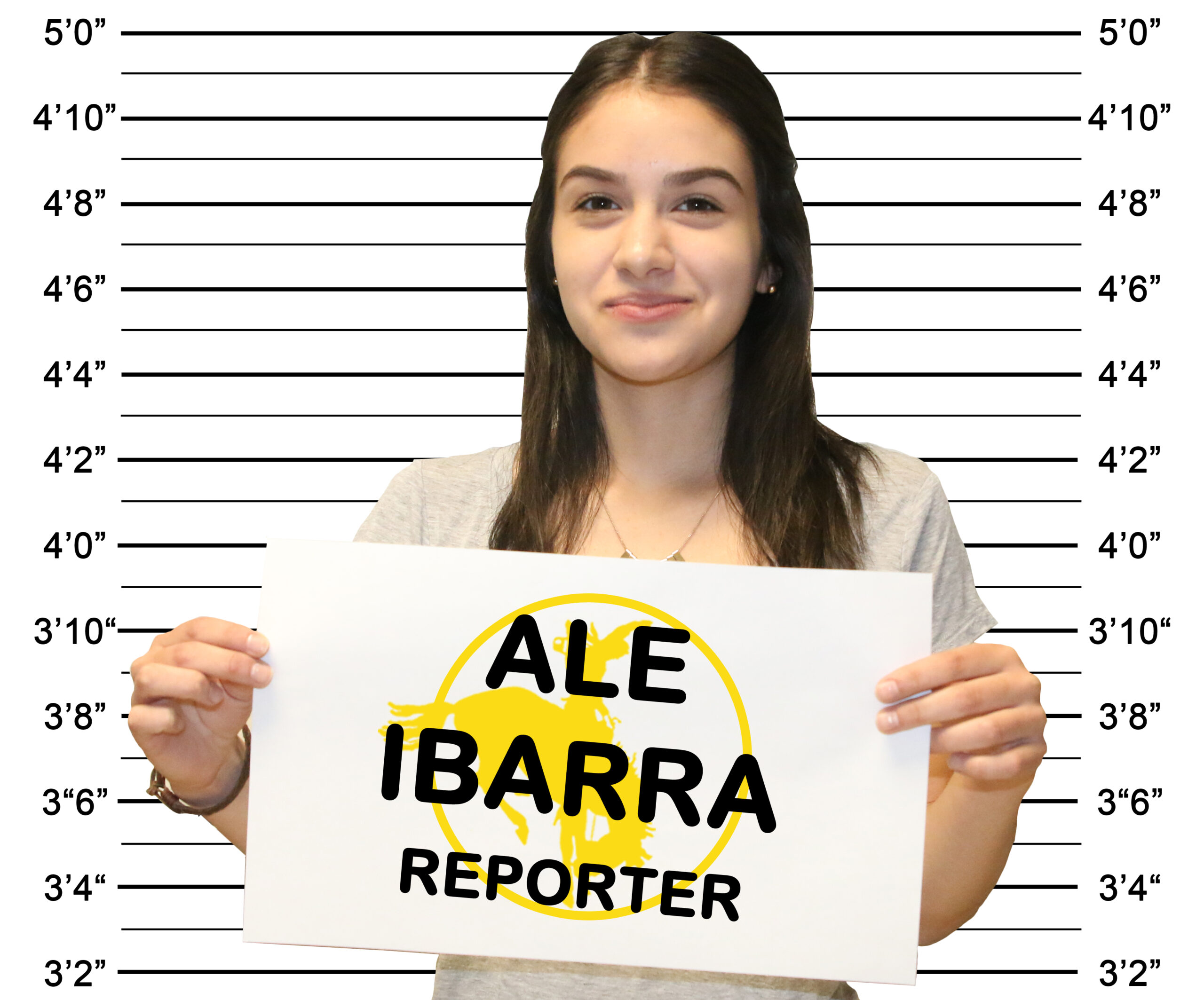 Ale Ibarra, Reporter
