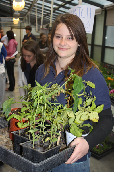 A student showing plants in the greenhouse. /Miranda Buttram • The Brand