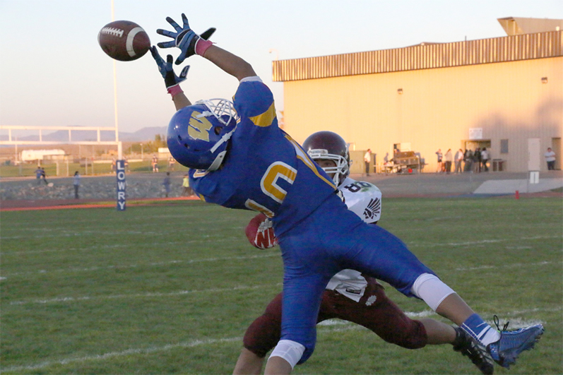 Dominic Diaz comes up short on a reception./Dani Ricker • The Brand