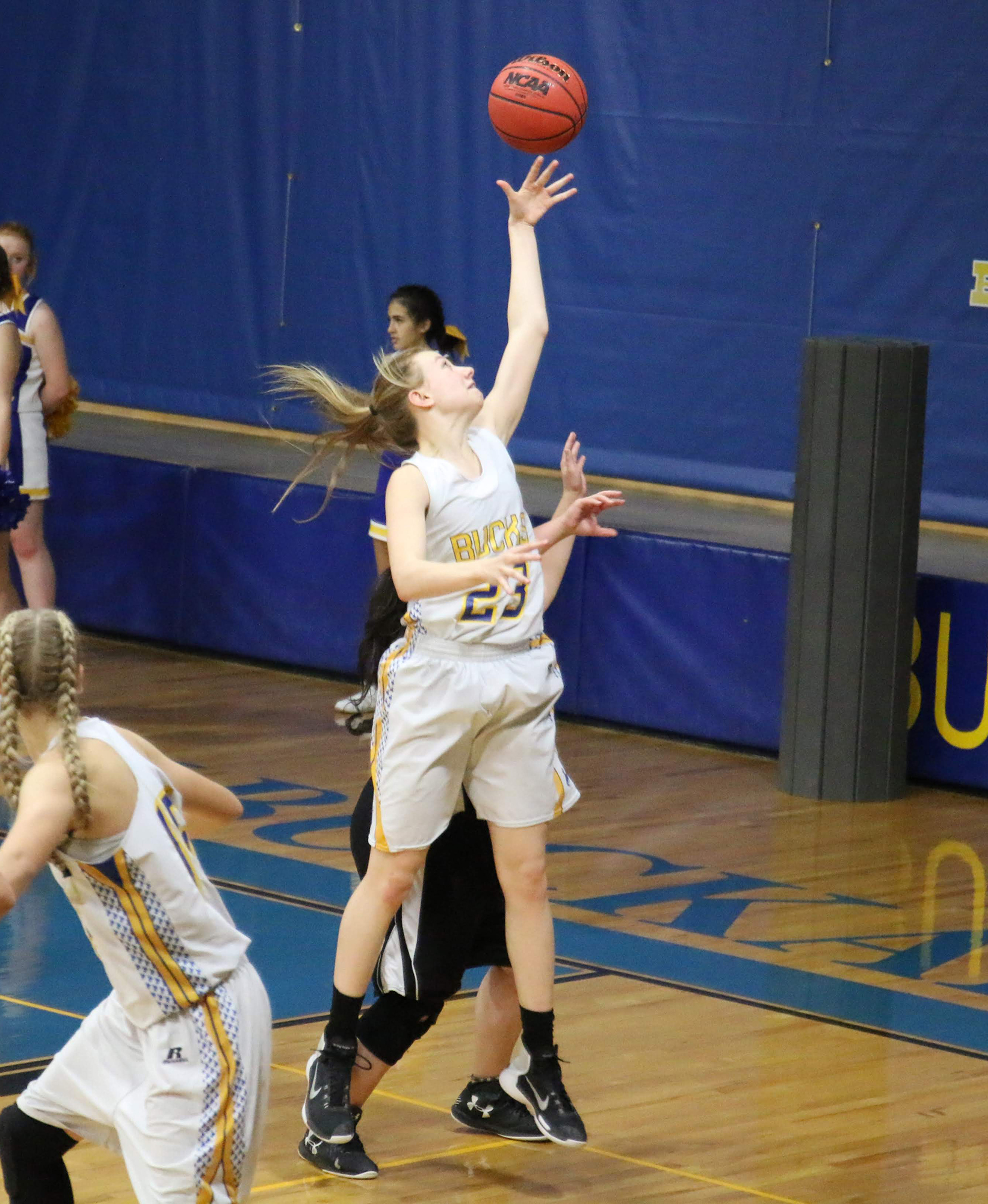 Clarissa Olson • The Brand