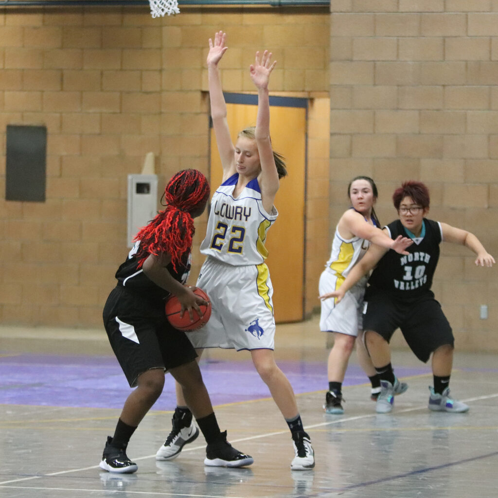 Alexis Olson guards a North Valleys player./Ron Espinola • The Brand