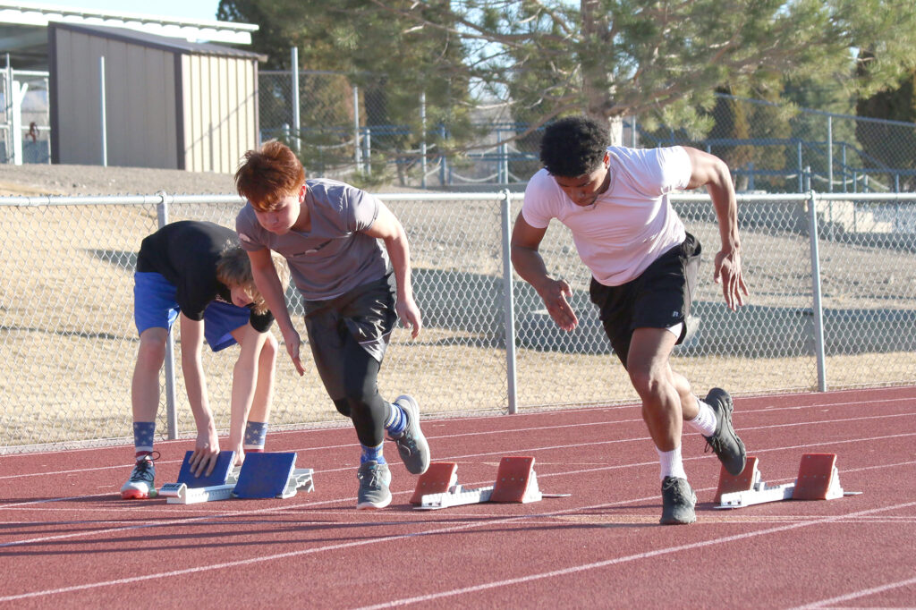 /Araceli Galarza • The Brand