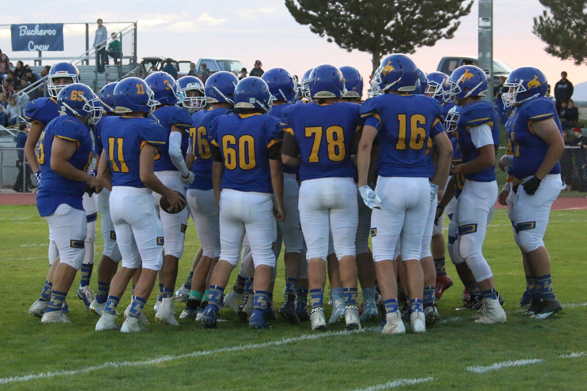 Success, failure, elation, sadness: a year in Lowry Sports