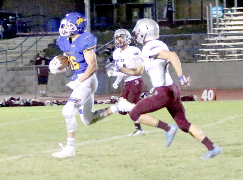 Samm Sharp • The Brand