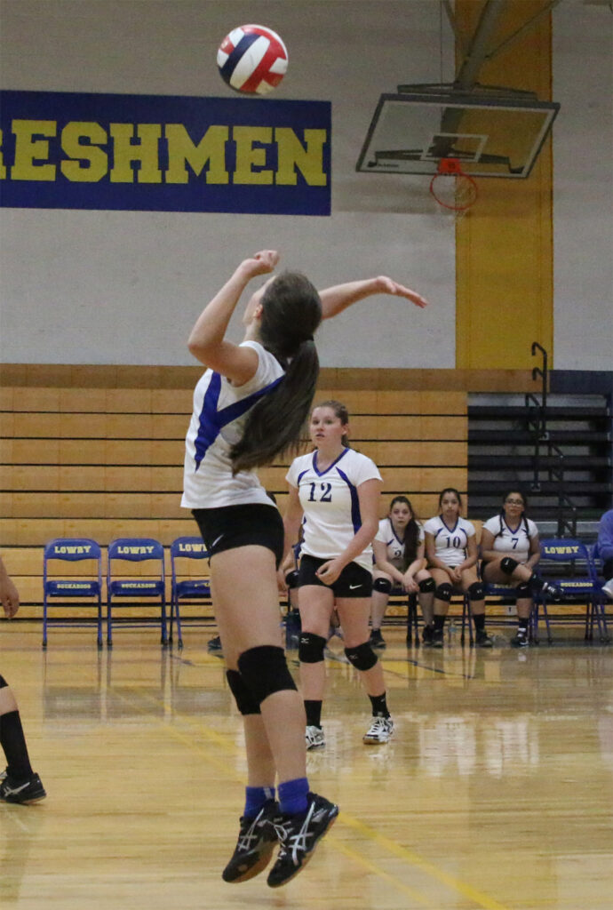 Going for the spike./Aimee Brandon • The Brand