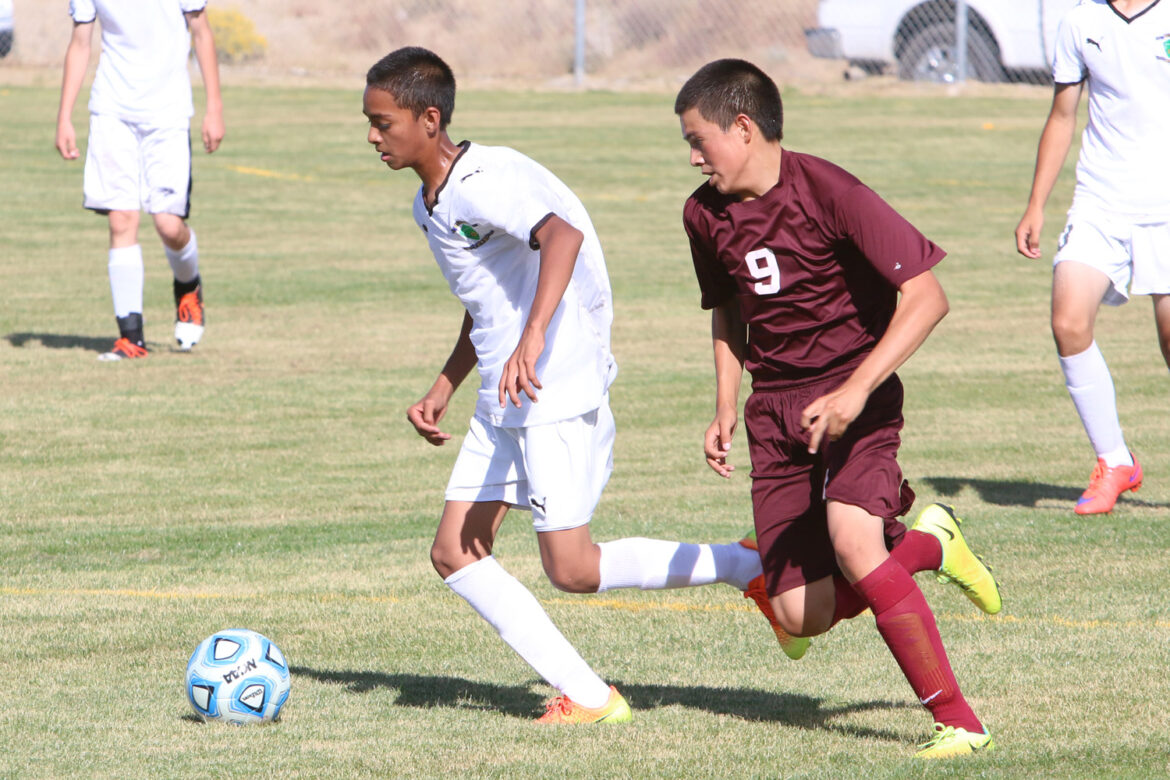 Vikings outlast JV boys