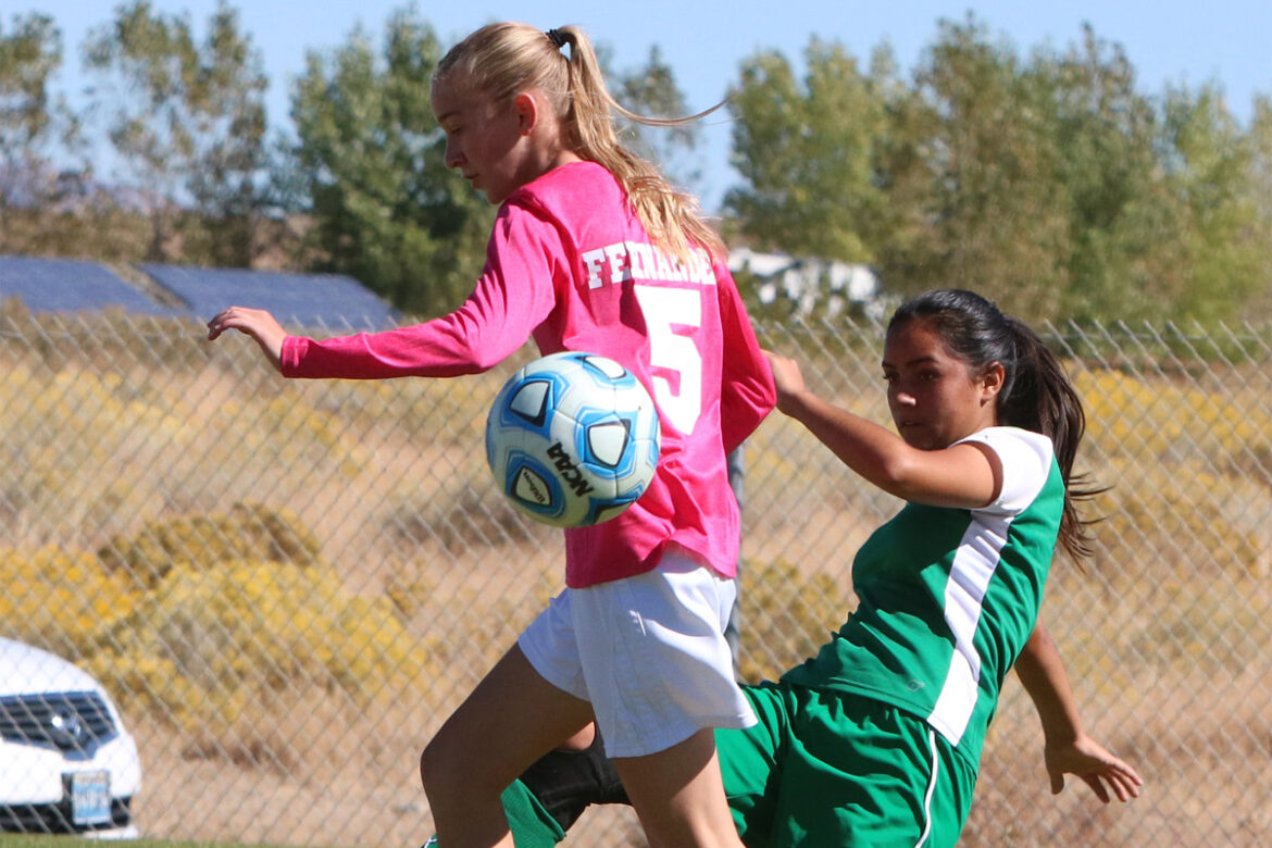 For Lady Bucks the cause is bigger than the game