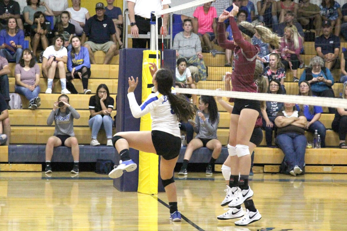 Student-Athlete of the Week: Andrea Escobedo