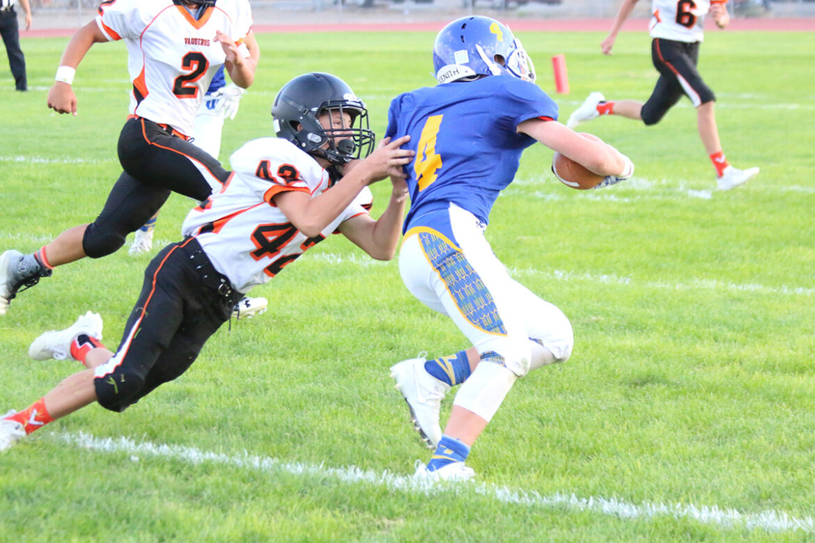 Freshmen have memorable season