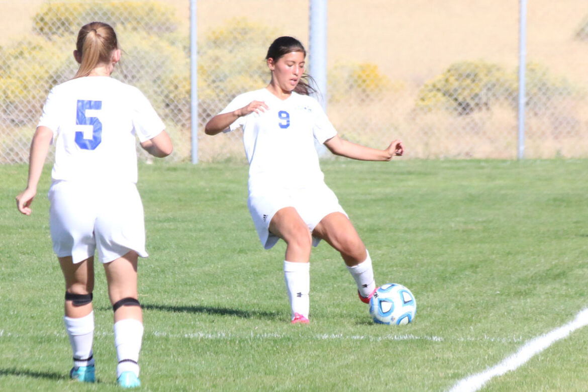 JV soccer posts 12 win season
