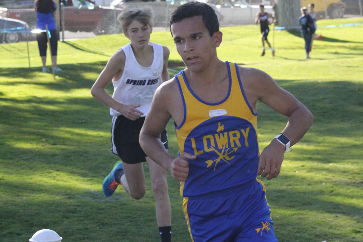 Lowry XC ends season with trip to state
