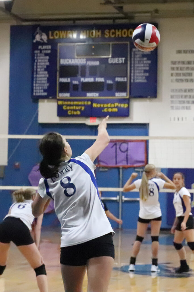 /Mackie Grady • The Brand