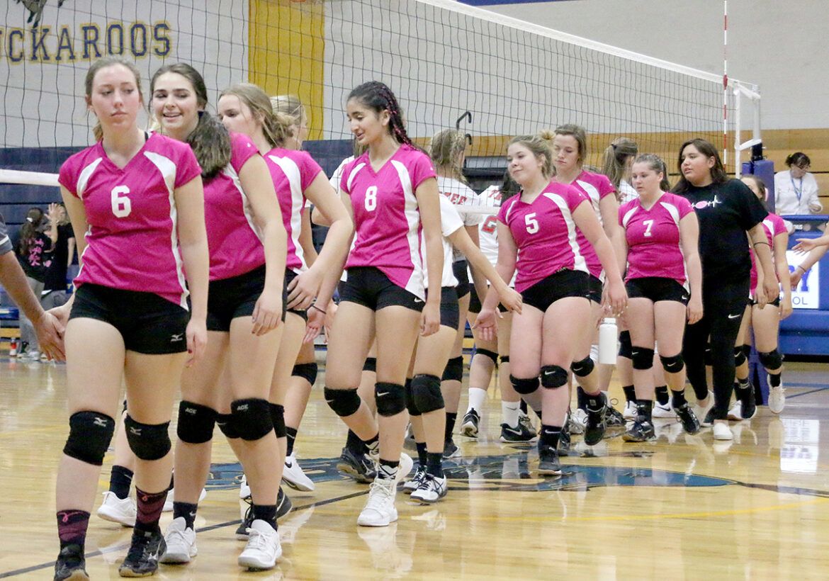 JV volleyball completes fantastic season