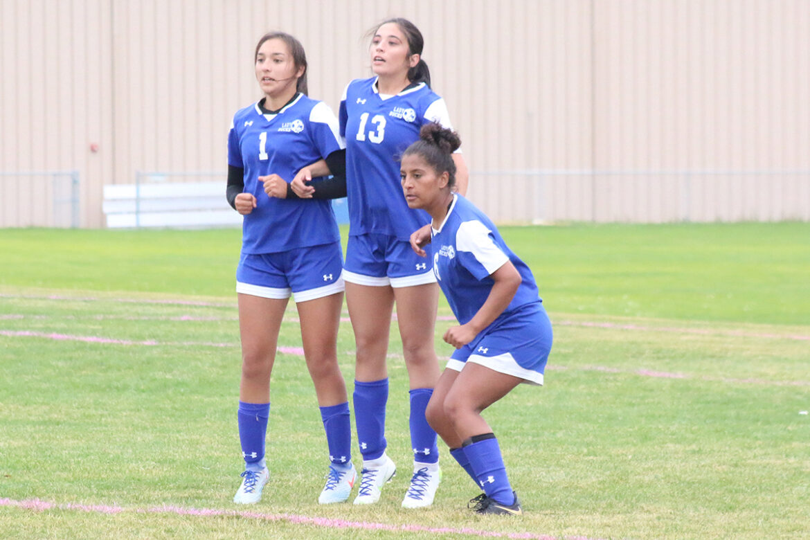 Long season closes for Lady Bucks