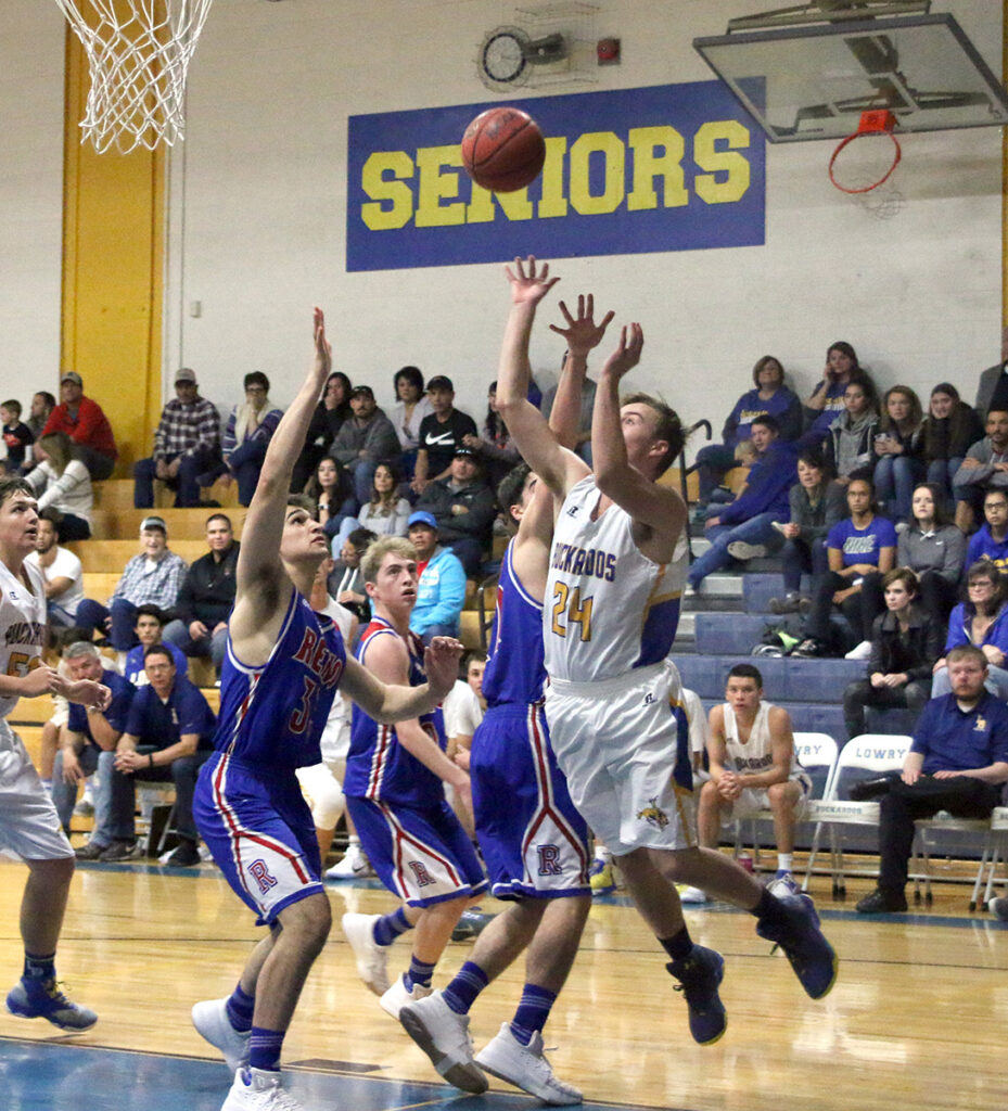 /Clarissa Olson • The Brand